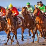 Viaje a las fiestas más divertidas del verano