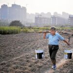 Las nuevas reformas de China
