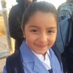 Alarma en Chile por el robo de un coche con una niña dentro