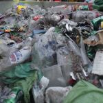 Seattle será la primera ciudad de EEUU en sancionar a quien tire comida