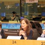 La directora general María de Diego, defiende la posición de Castilla y León en la última reunión del Intergrupo por el Futuro de la Industria del Automóvil