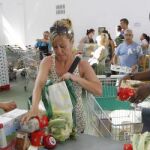 Cáritas ayuda a cinco millones de pobres a pesar de la caída de fondos públicos