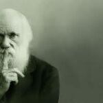 Darwin