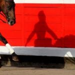 Recortadores, tentadero público y exhibición a caballo para presentar San Mateo