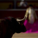 Patricia Navarro, premiada por su trayectoria periodística