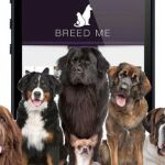 Zoa, una app de citas... para mascotas