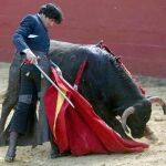 Trincherazo de Diego Ventura esta mañana en Paterna del Campo