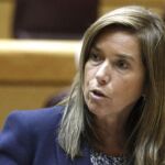 La reforma impulsada por Ana Mato se aprobará a principios de año