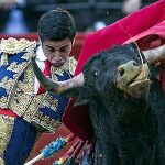 Imagen del novillero Jorge Expósito