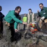 Desde 2003 se han plantado más de 13 millones de árboles y arbustos en la Comunidad de Madrid