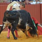 Javier Jiménez torea al natural al burraco sexto de Parladé