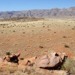Vista aérea de los anillos de hadas de Namibia. Imagen: Stephan Getzin/UFZ