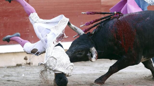Luis Bolívar, cogido al entrar a matar a su primer toro ayer en Pamplona