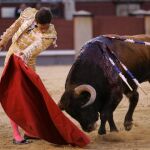Imagen de Torres Jerez en Las Ventas