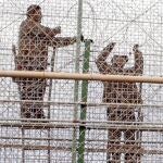La concertina es una «defensa predispuesta»