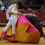 Luque, a la verónica, será uno de los grandes protagonistas de la próxima Feria del Pilar