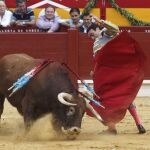 Molinete de Enrique Ponce durante la pasada Feria de Hogueras en Alicante