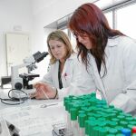 El Gobierno Herrera refuerza las políticas innovadoras para captar fondos de la UE