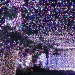 Imagen de la vivienda, con todas las luces encendidas