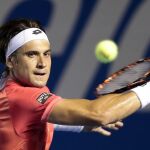 David Ferrer devuelve una bola al holandés Igor Sijsling en el Abierto de Acapulco