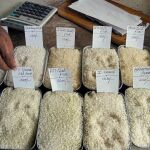 Distintos tipos de arroz en un mercado de India.