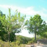 La madrileña dehesa El Carrascal de Arganda permite disfrutar de la tranquilidad justo al lado del casco urbano