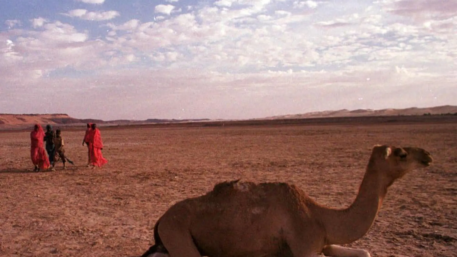 Un grupo de mujeres termina un día de trabajo de recogida de sal en las tierras de un antiguo lago en el remoto desierto del Sahara en Tichit, al este de la capital de Mauritania, Nouakchott