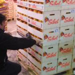 Extorsionaban a mayoristas de Mercamadrid para comprar barato y revender en rastros