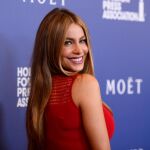 Sofia Vergara a su llegada al banquete de la Asociación de la Prensa Extranjera en Hollywood