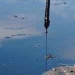 Madrid restaurará la laguna de los aceites degradada hace 20 años