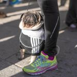 Algunos de los perros que acudieron con sus dueños a la carrera lo hicieron vestidos de originales y diferentes formas