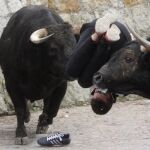 Uno de los heridos esta mañana en Ciudad Rodrigo
