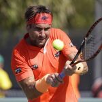 David Ferrer durante el partido ante Simón