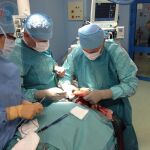 Imagen de un equipo de médicos en un quirófano