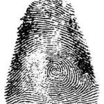 La huella dactilar 