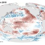 Ilustraci&oacute;n cedida que muestra la temperatura media de la superficie del mar en febrero de 2015 seg&uacute;n las medidas de los sat&eacute;lites de la Administraci&oacute;n Nacional de Oc&eacute;anos y Atm&oacute;sfera (NOAA).