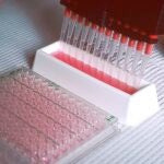 Anticuerpos monoclonales en el laboratorio