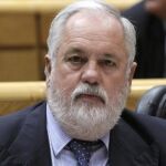 Miguel Arias Cañete, durante una sesión de control al Gobierno en el pleno de la Cámara Alta