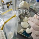 Un investigador analiza muestras de mozzarella de búfala