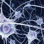El extraño trastorno que impide recordar la vida en primera persona