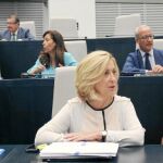 Los concejales de Ana Botella se dividen entre los que no tienen dudas de que seguirán y los que ya están buscando una salida profesional