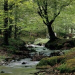 España, segundo país del mundo con más Reservas de la Biosfera de la Unesco