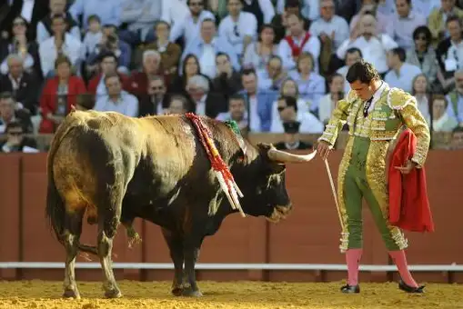 Los novilleros se la juegan a una carta Los novilleros se la juegan a una carta