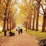 Noviembre traerá el otoño