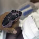 Se tomarán las huellas plantares de los bebés para su idenficación
