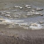El incremento de las temperaturas causado por el cambio climático ya hizo que 2014 fuera el año más cálido registrado en la historia.