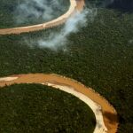 La selva del Amazonas