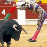 David Fandila "El Fandi"coloca un par de banderillas a su primer morlaco, durante la tercera corrida de abono de la Feria de Hogueras de San Juan