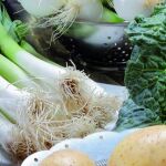 «AgroHorizonte 2020» elevará el peso económico del sector agrario y alimentario de Castilla y León
