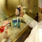Investigador del Instituto Venezolano de Investigaciones Científicas (Ivic)